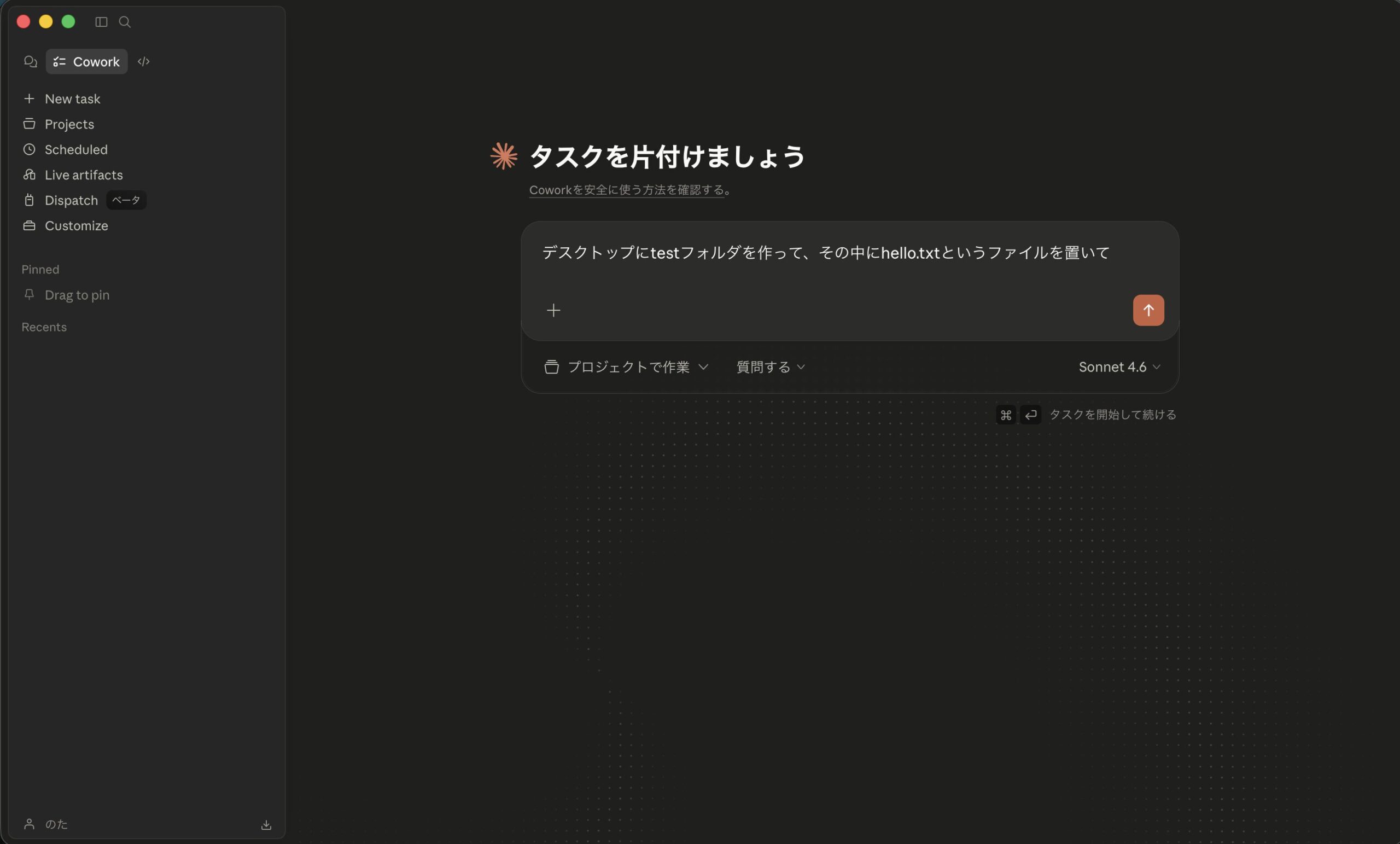指示文を入力した画面